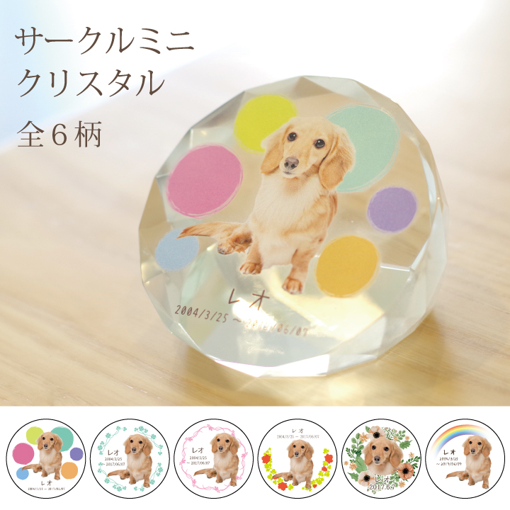 サークルミニクリスタル